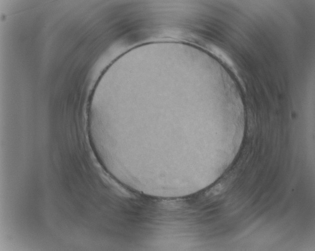 X0000067391480200604281829