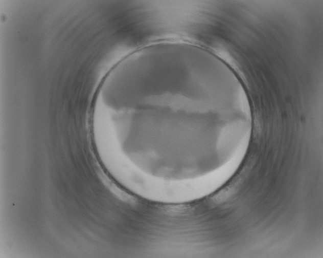 X0000067391482200604281829