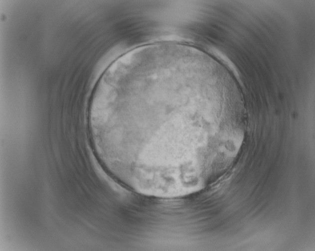 X0000067391483200604281829