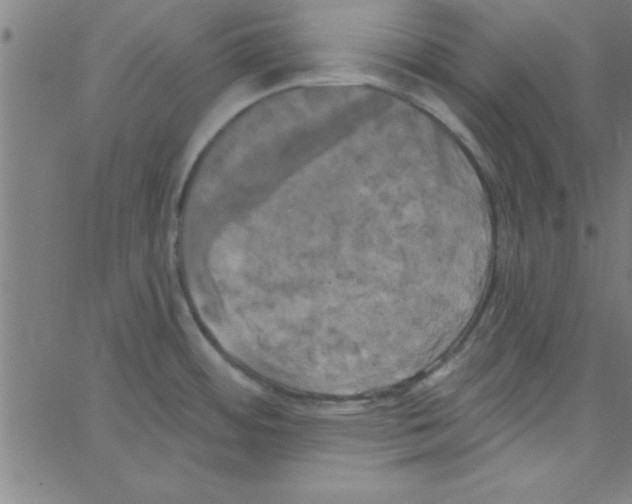 X0000067391484200604281829