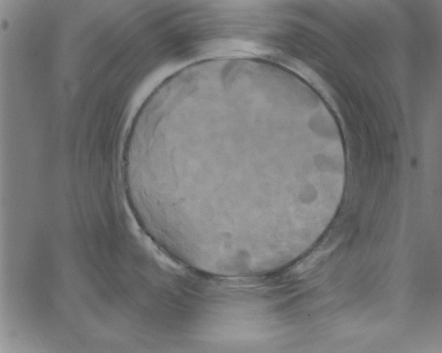 X0000067391488200604281829