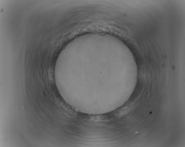 X0000067391490200604281829