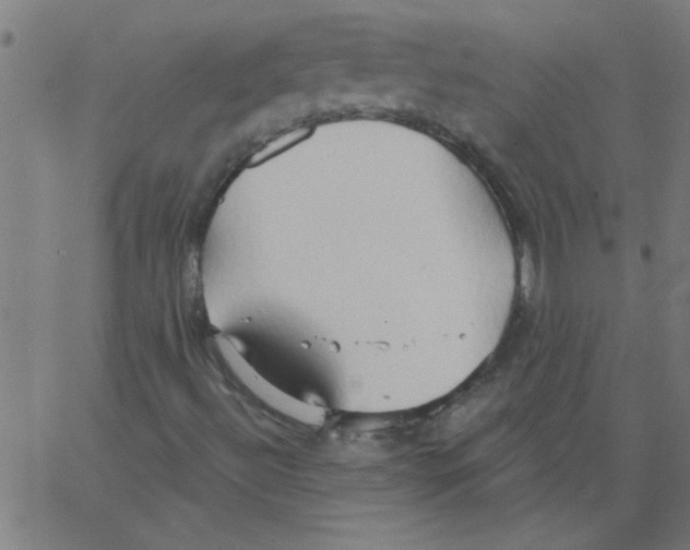 X0000067391492200604281829