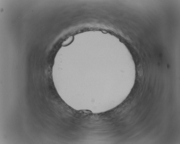 X0000067391495200604281829