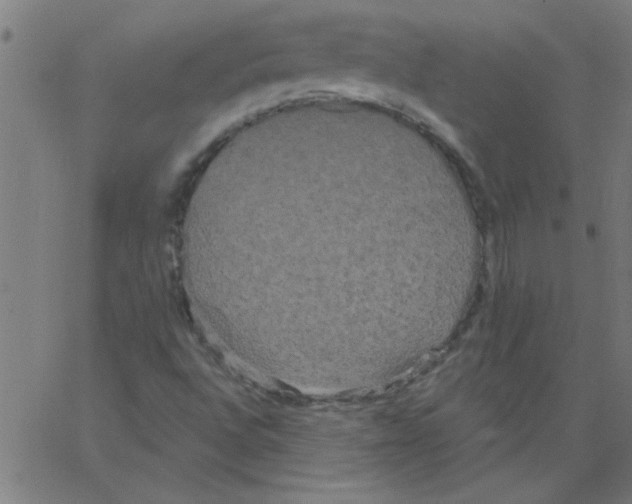 X0000067391496200604281829