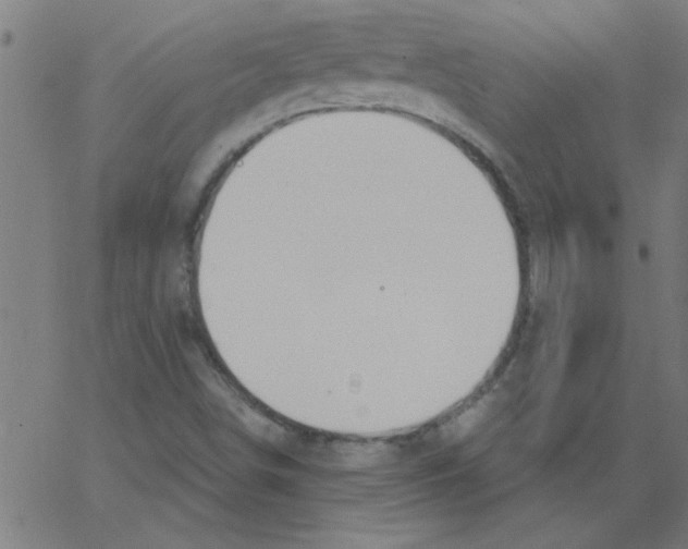 X0000067391498200604281829