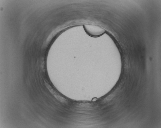 X0000067391499200604281829