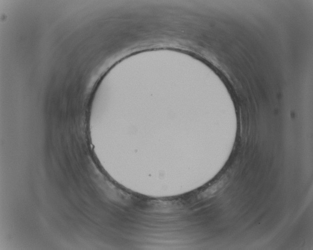 X0000067391500200604281829