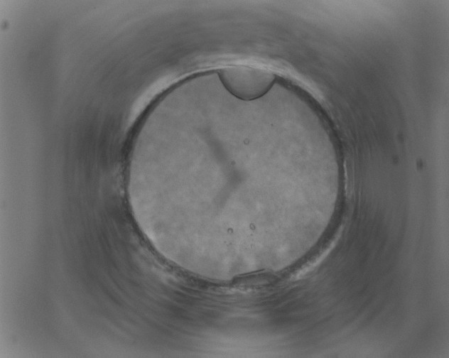 X0000067391501200604281829