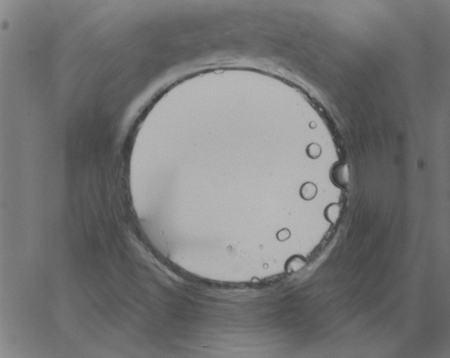 X0000067391502200604281829