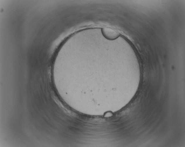 X0000067391503200604281829