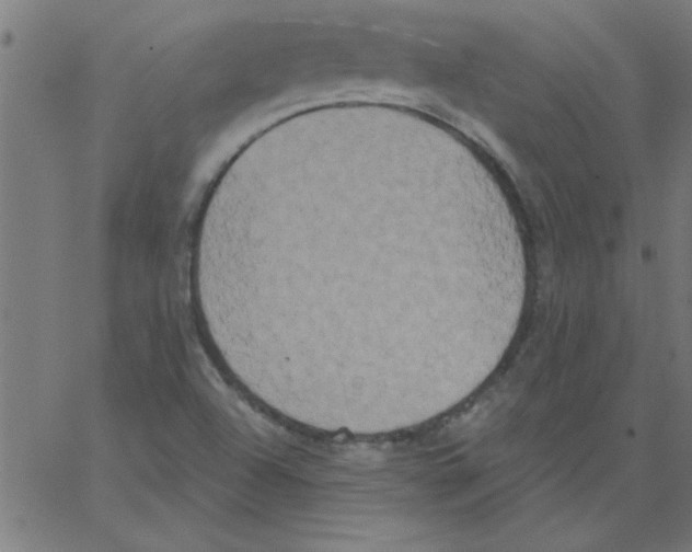 X0000067391504200604281829