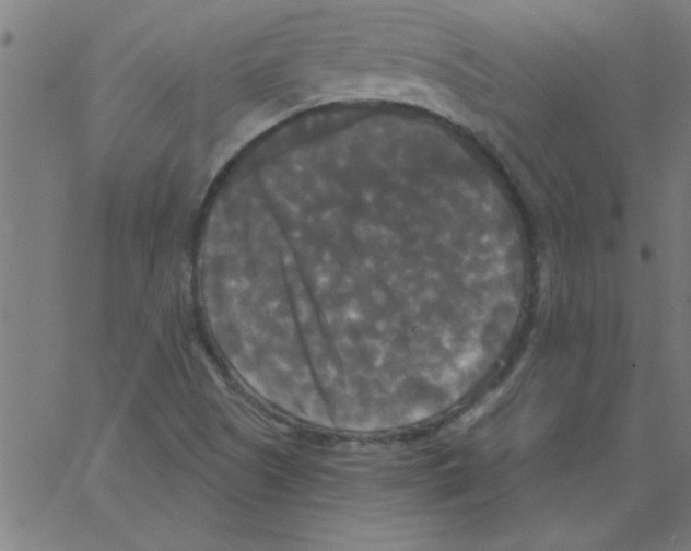 X0000067391505200604281829