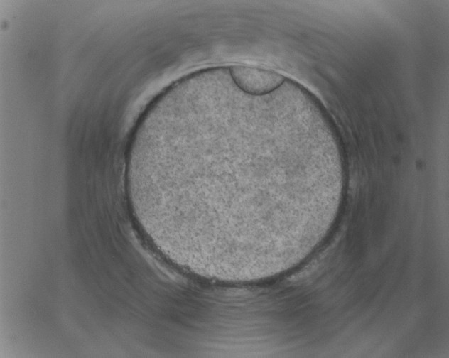 X0000067391507200604281829