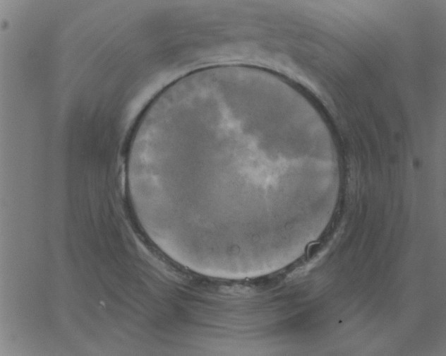 X0000067391509200604281829