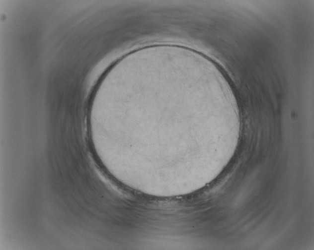 X0000067391511200604281829