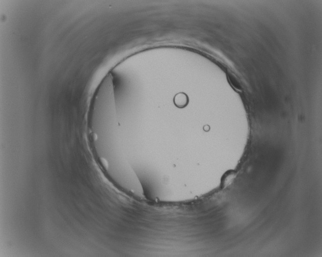 X0000067391512200604281829