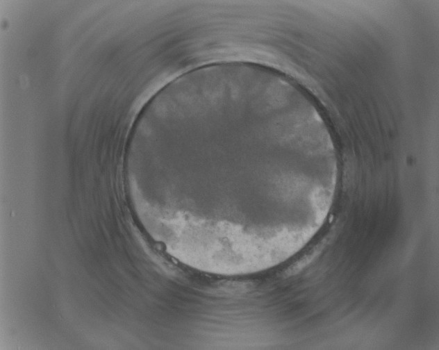 X0000067391513200604281829