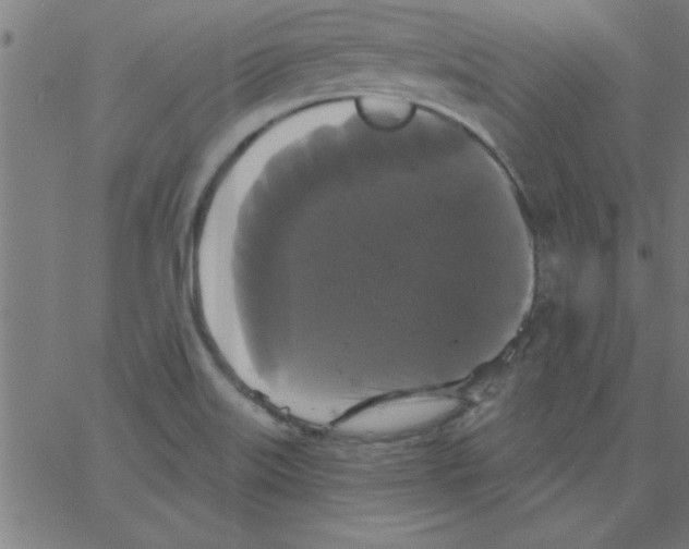 X0000067391515200604281829