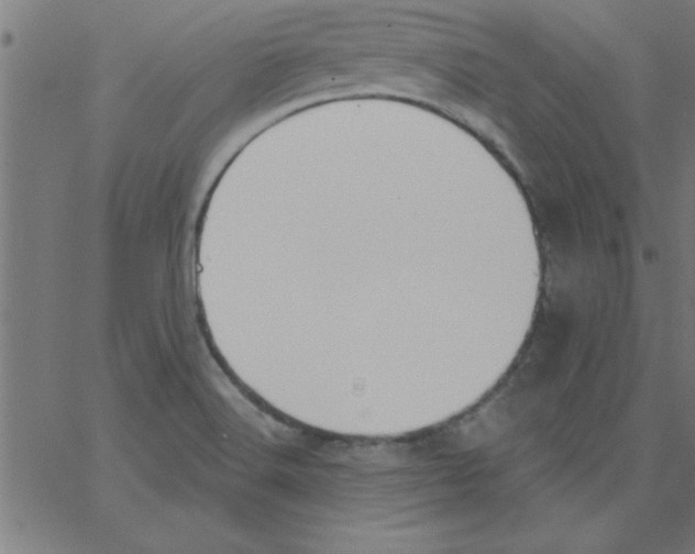 X0000067391516200604281829