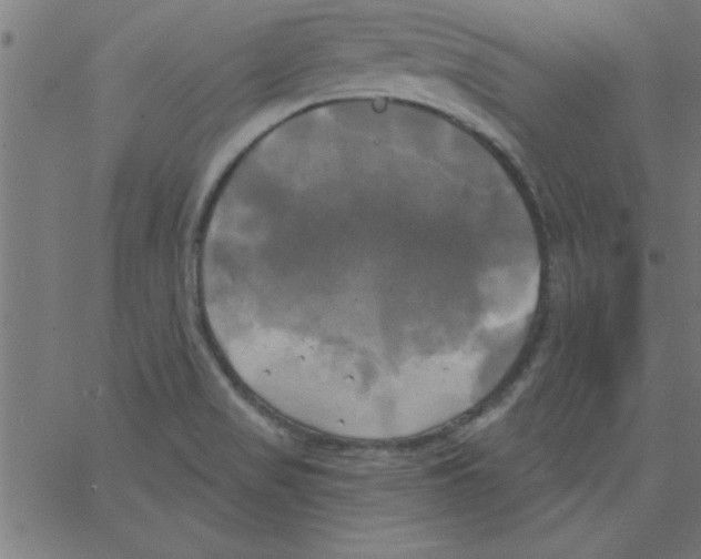 X0000067391517200604281829