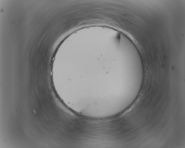 X0000067391518200604281829