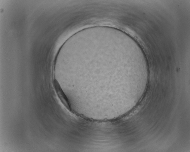 X0000067391520200604281829