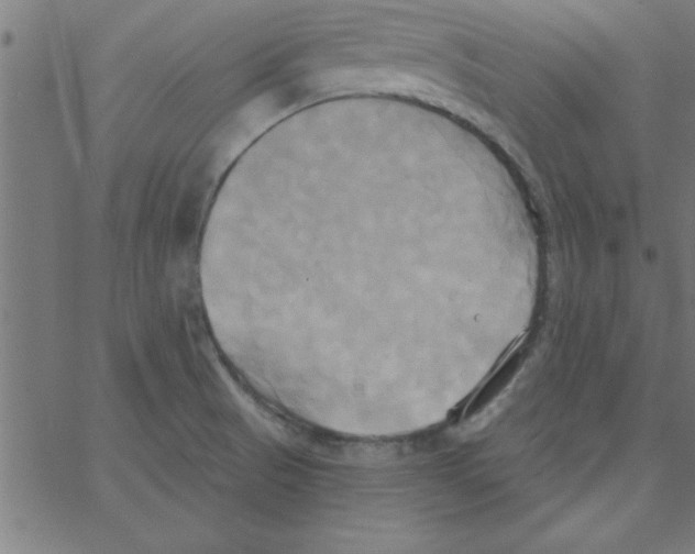 X0000067391521200604281829