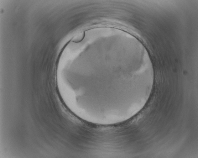 X0000067391522200604281829