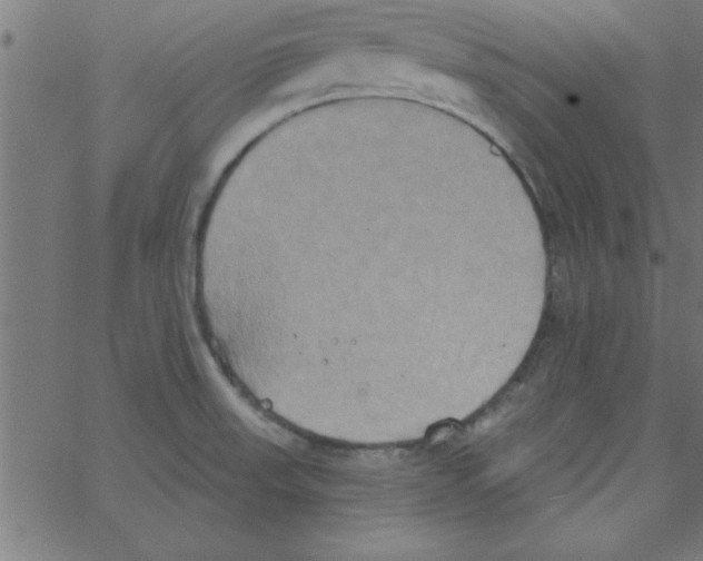 X0000067391523200604281829