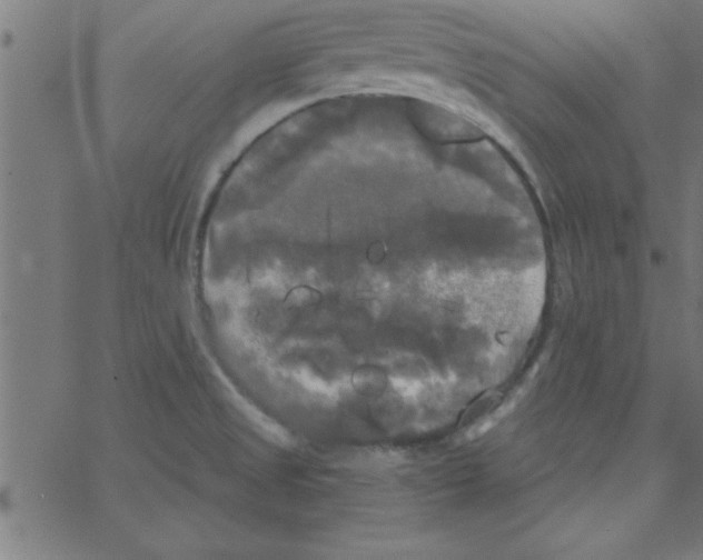 X0000067391525200604281829