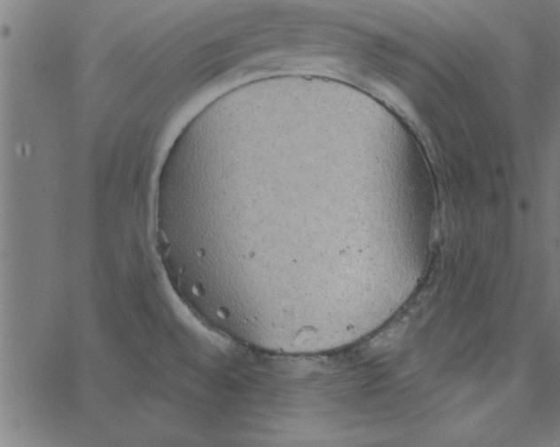 X0000067391528200604281829