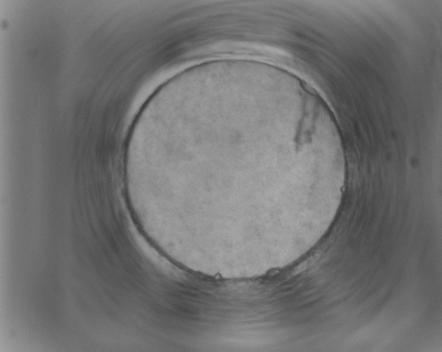 X0000067391531200604281829