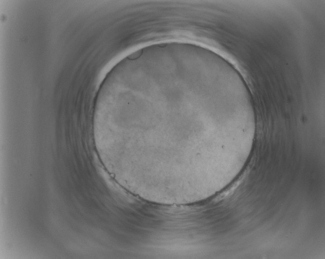 X0000067391534200604281829