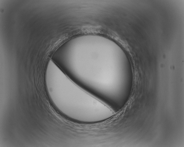 X0000067400009200603311032