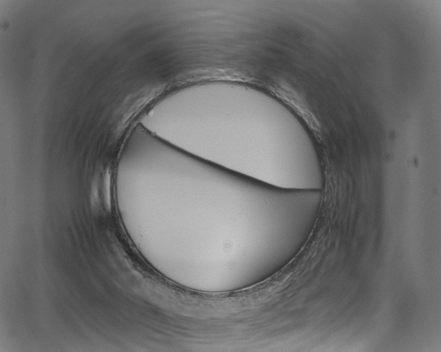 X0000067400014200603311032
