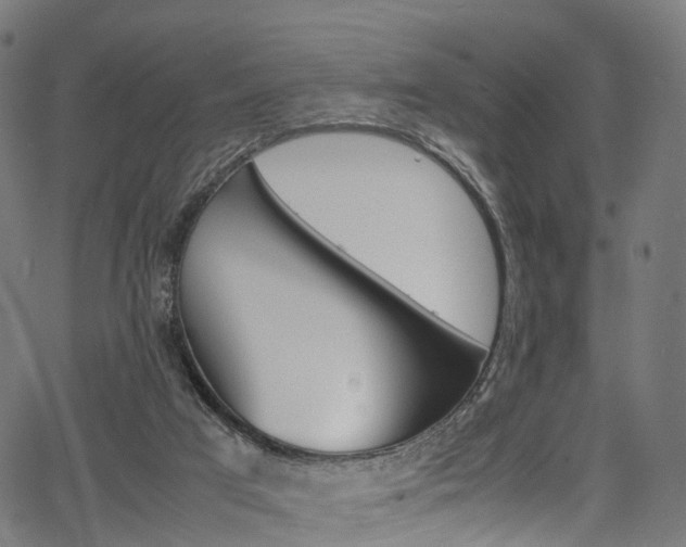 X0000067400017200603311032