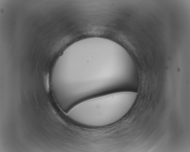 X0000067400020200603311032