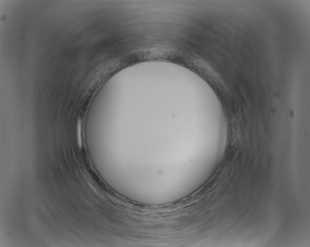 X0000067400022200603311032