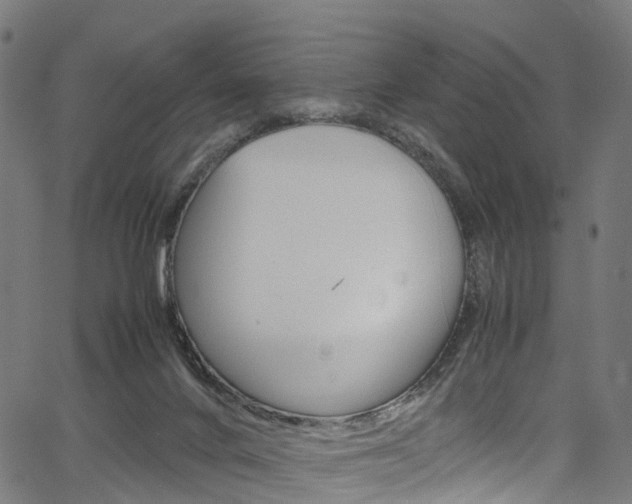 X0000067400024200603311032
