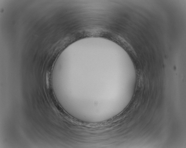 X0000067400026200603311032