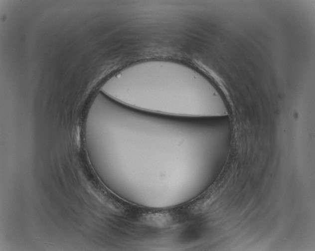 X0000067400067200603311031