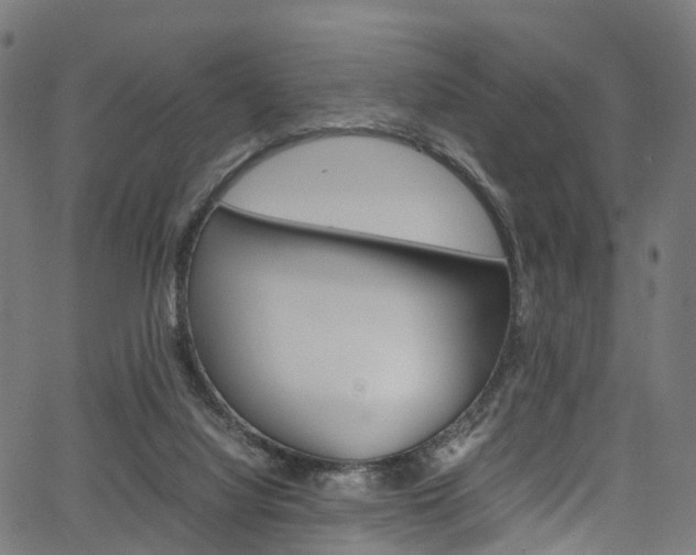 X0000067400068200603311031