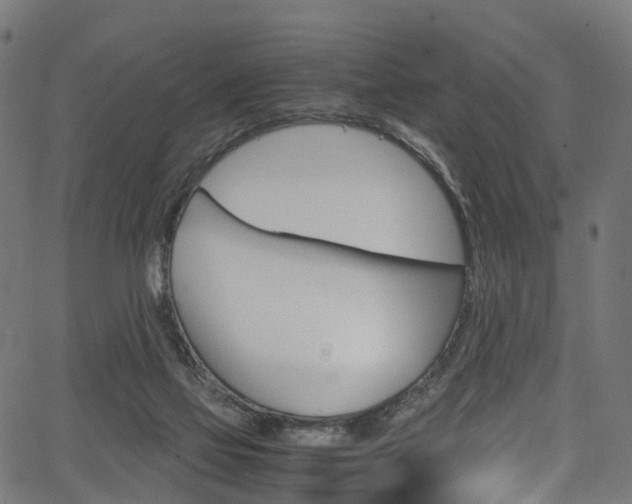X0000067400069200603311031
