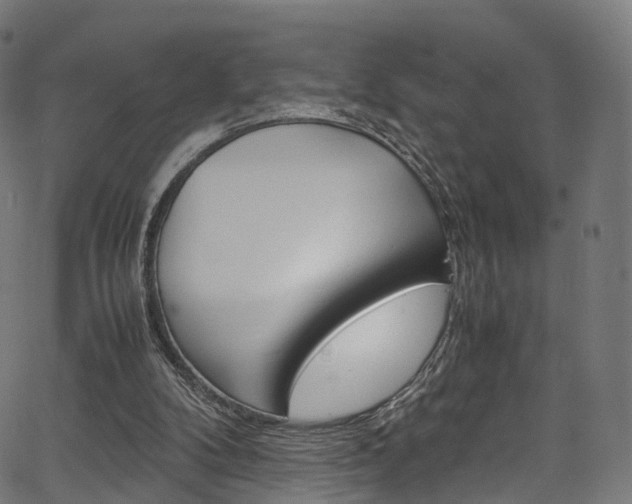X0000067400104200603311030