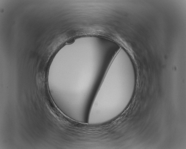 X0000067400107200603311030