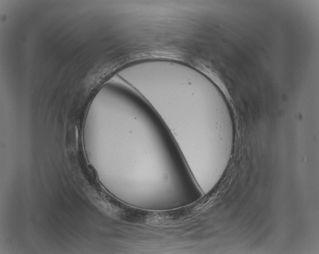 X0000067400109200603311030