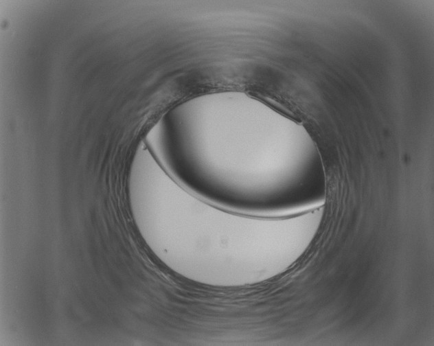 X0000067400141200603311030