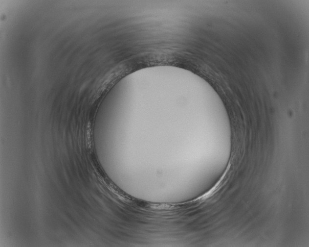 X0000067400144200603311030