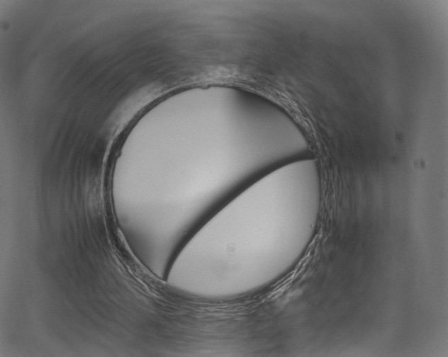 X0000067400196200603311029
